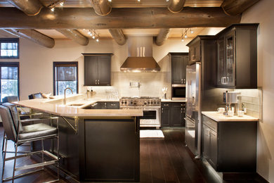 Example of a minimalist kitchen design in Denver