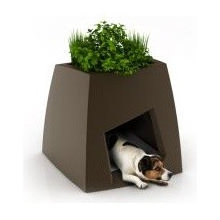 Niche
