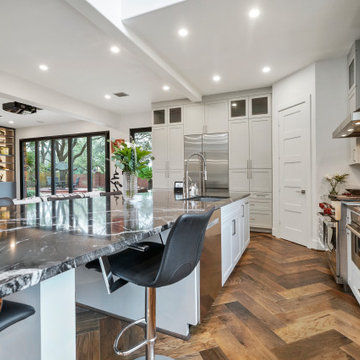 Kitchen and Home Remodel