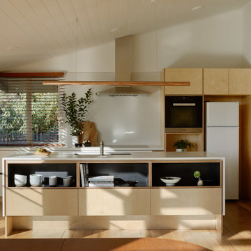 Green Shutter House