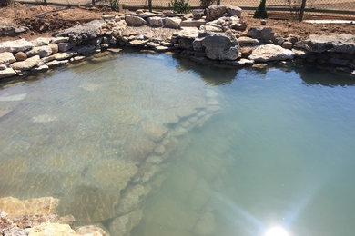 Large mountain style backyard stone and custom-shaped natural pool photo in Other