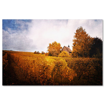 'Light in Vineyards' Canvas Art by Philippe Sainte-Laudy