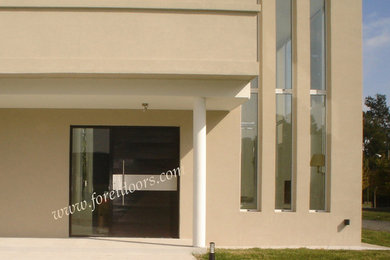 Modern front entry doors / contemporary front entry doors