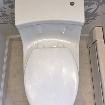 Stencil Bathroom in Larchmontoilet
