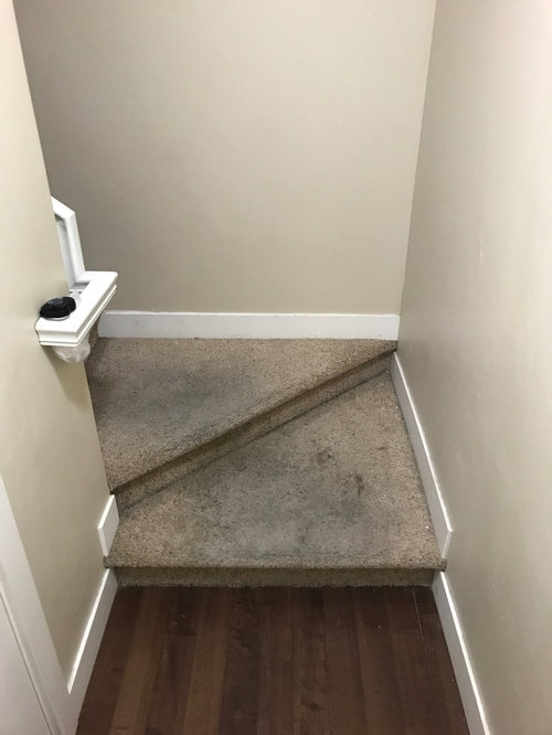 help! what color carpet should I get ?! ASAP