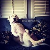 Debbi Byrne Cain's photo