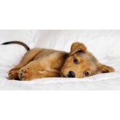Ellen Noh's photo