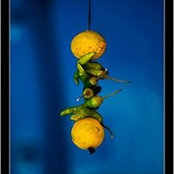 Pranav Nagpal's photo