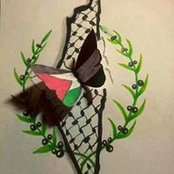 رقيه احمدs foto