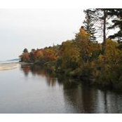 Kathy Bailey's photo