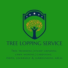 Tree Lopping Service Perth