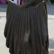 Marcel Ursu's photo