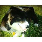 Elinore Marie Painter's photo