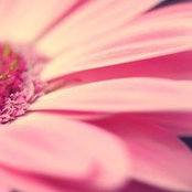 Tara Martin's photo