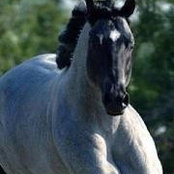Cathy Thaler's photo