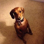 Jim Foley's photo