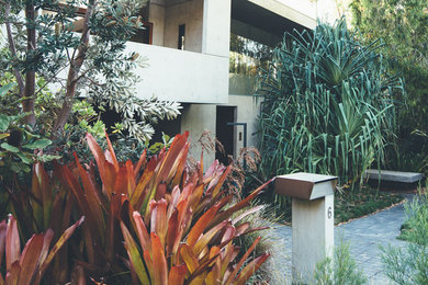 Contemporary exterior in Sunshine Coast.