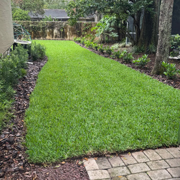 Property Makeover to Increase Lawn Space - A Maitland Florida Project