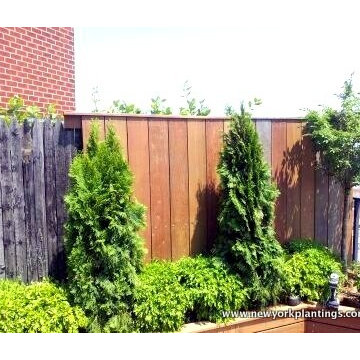 NYC Rooftop Garden - Roof Deck and Outdoor Dining