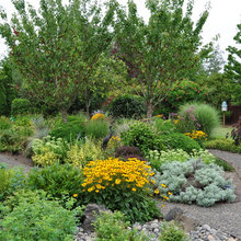 Perrenial Gardens