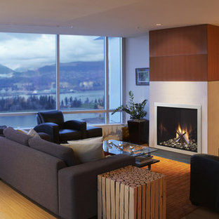 Living Room Fireplaces