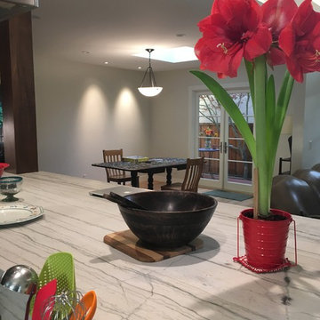 full house remodel - San Carlos