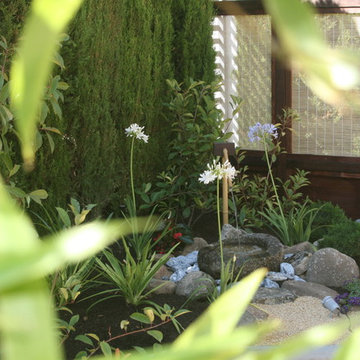 A big change to be Japanese Garden