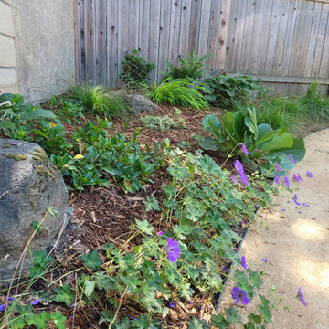 Japanese Inspired Garden