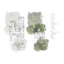 Plan and Section Views