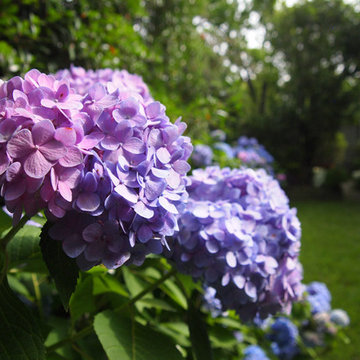 My Houzz: Peek Inside an Artist’s Updated Shotgun Home and Studio