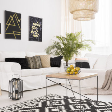 Living Room Projects