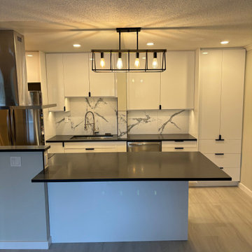 Modern Black and white Kitchen