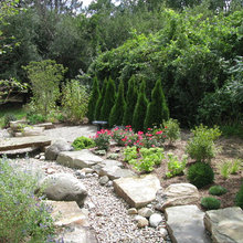 Dry Stream