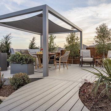 Backyard Haven