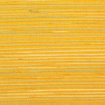 Rush Regular Orange Grass Cloth Wallpaper, Double Roll