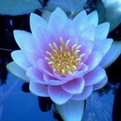Sherry Rayle Salnick's photo