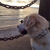 Melissa McKenna's photo