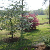 Nancy Silvers's photo