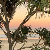 Krystal Kovac's photo