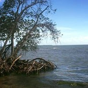 Foto von Michelle Perez