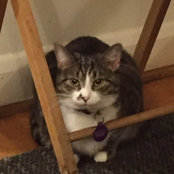 Maxine Davis's photo