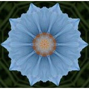 Foto de Trish Perryman
