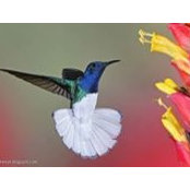 Sonal Majmudar's photo