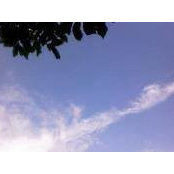 Henry Derclaye's photo