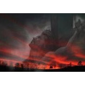 Sheila Crawford's photo