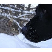 Foto von Sue Skinner