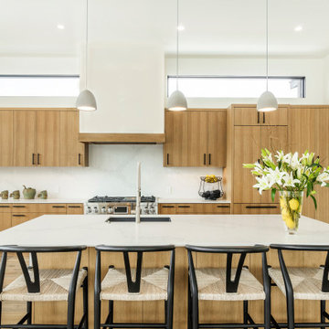 Sun Valley Modern Custom Build