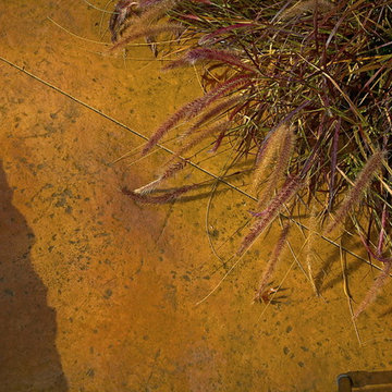 Anaqua Springs/Boerne Natural Pool/Spa/Vanishing Edge