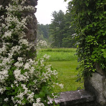Framing Views