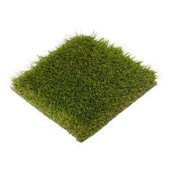 SYNFescue 354 - Products